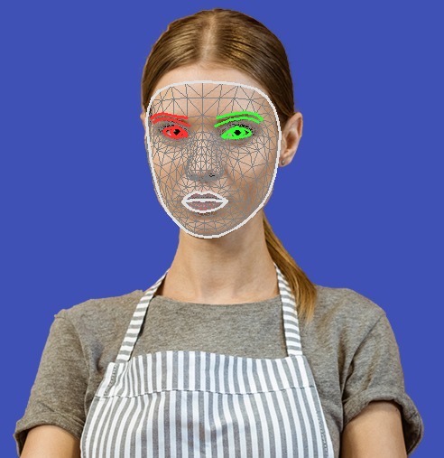 Digital Employee — Chat & Video AI Agent — the face landmark mesh that drives the speaking avatar
