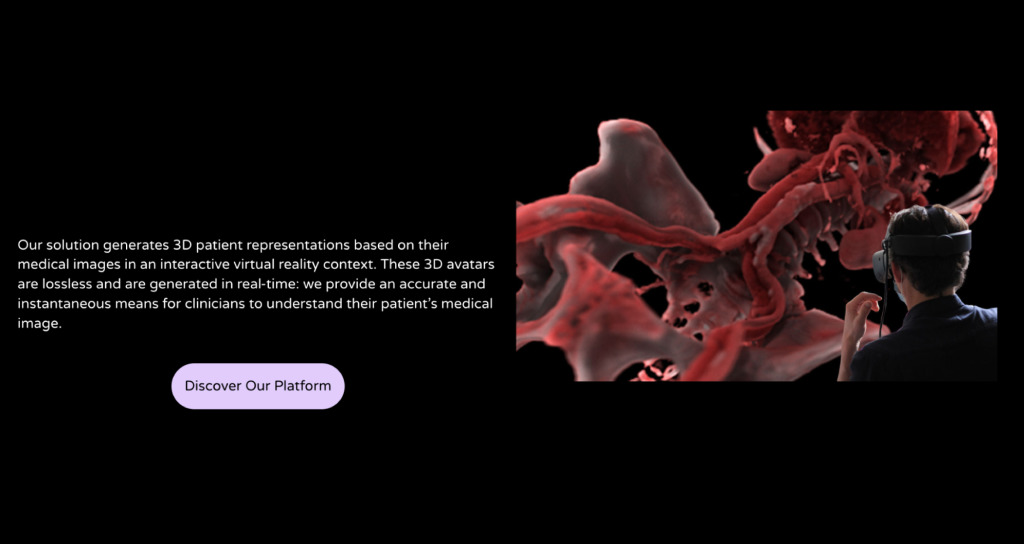 Medical 3D avatars — VR rendering platform — screen 3